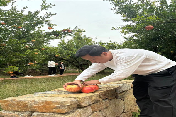 1697943964282692.jpg 1697943964282692.jpg